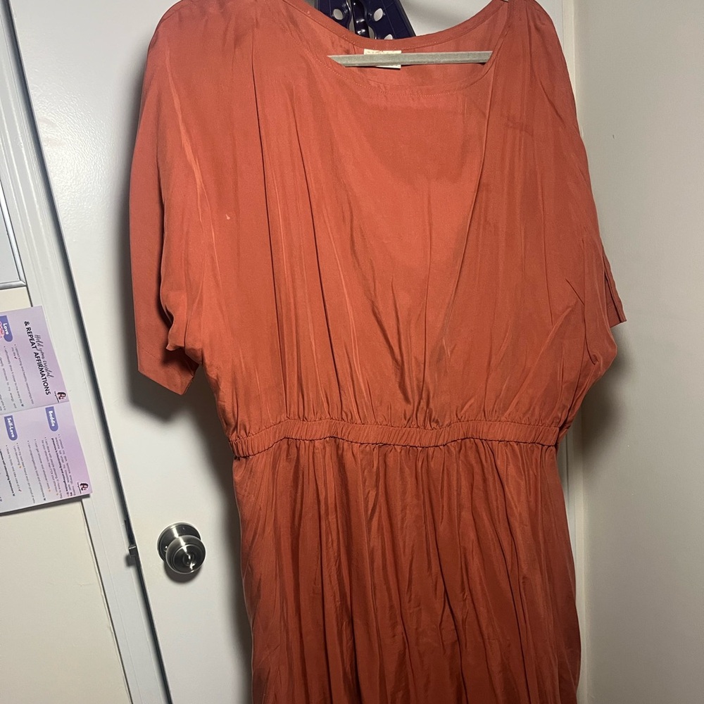 Chic Long Sleeve Rust Dress